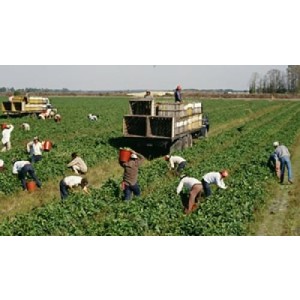 angajari agricultura austria